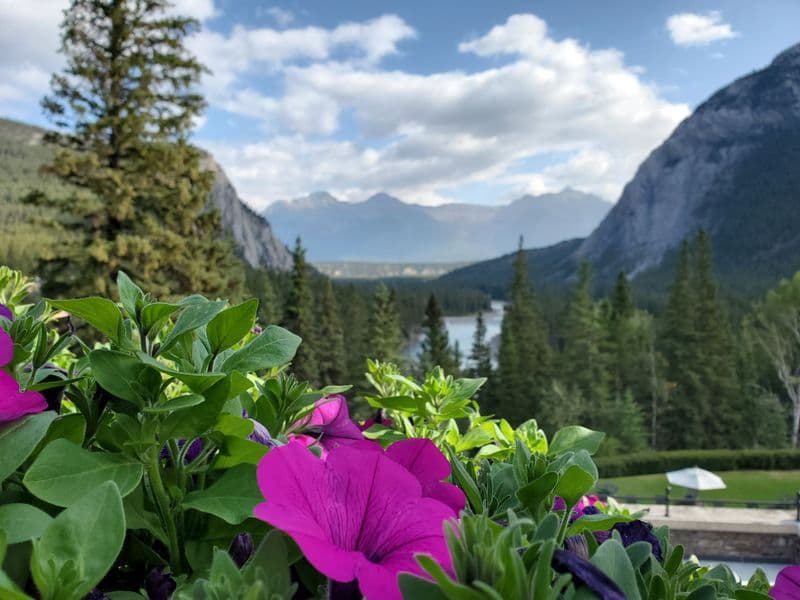 /photos/images/banff hotel.jpg